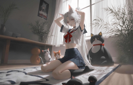 漫画改编动画成功案例